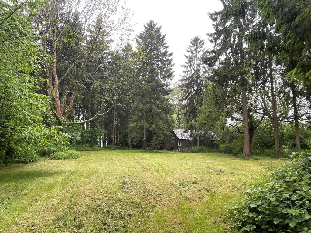 Lot: 125 - APPROXIMATELY 1.4 ACRES OF LAND WITH TWO BUILDINGS - Open land looking back towards barns